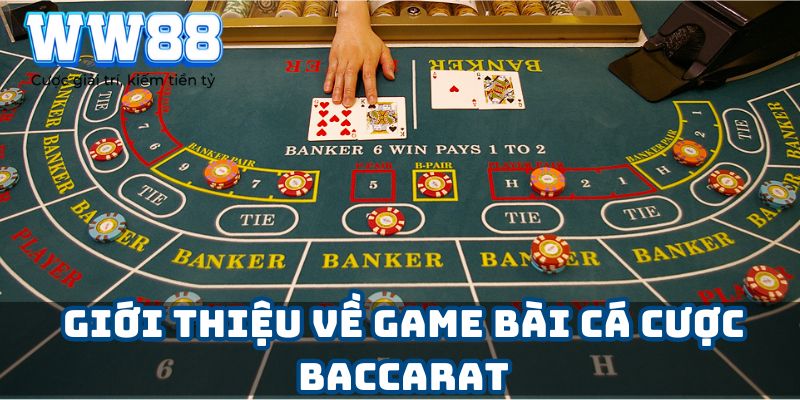 Giới thiệu về game bài cá cược Baccarat