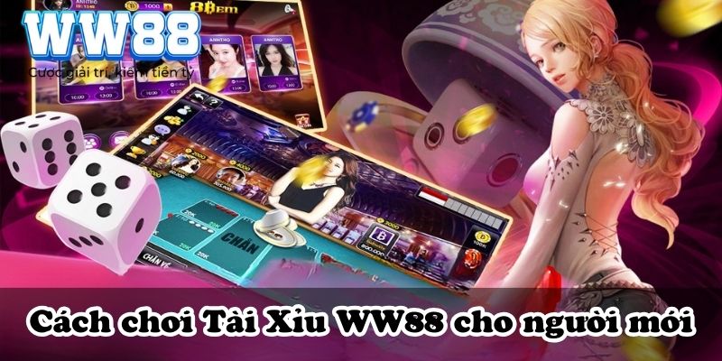 Cách chơi Tài Xỉu WW88 cho người mới