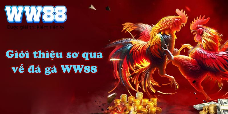 Giới thiệu sơ qua về đá gà WW88