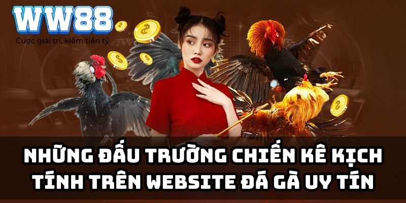 Những đấu trường chiến kê kịch tính trên website đá gà uy tín